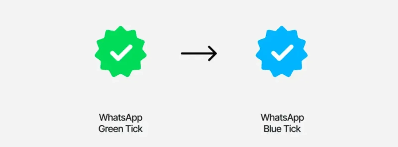 So sánh Tích Xanh Lam và Tích Xanh Lá của WhatsApp