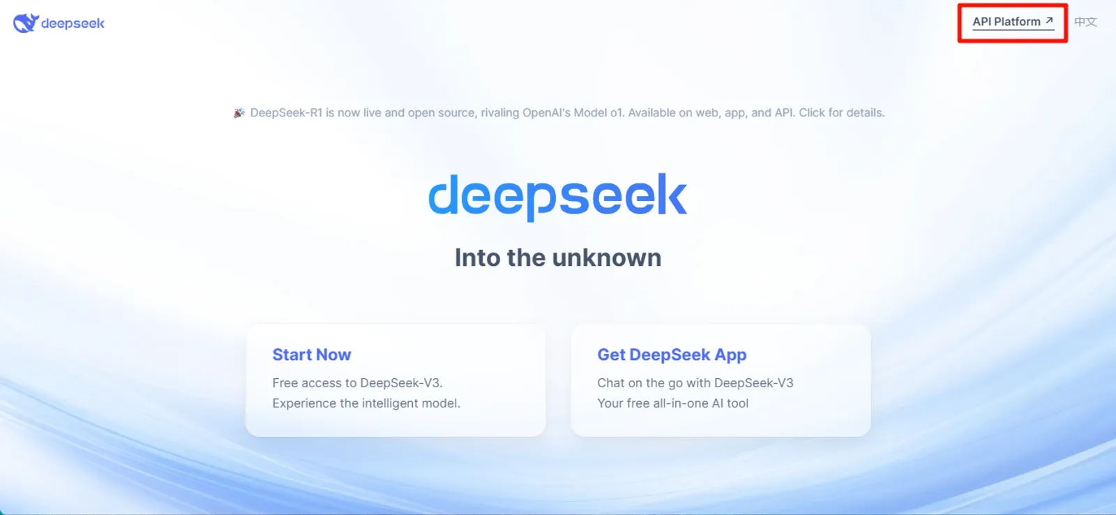 DeepSeek