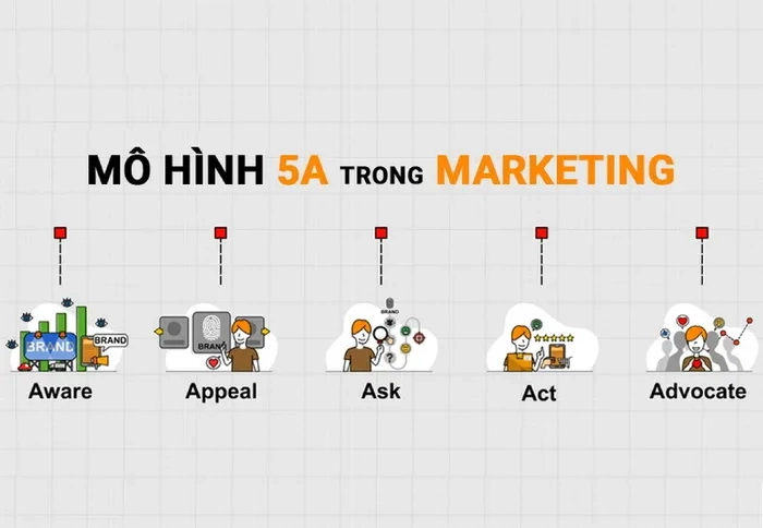 Mô hình 5A